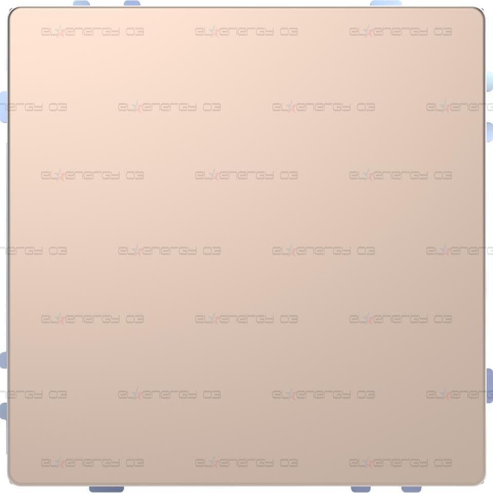БУТОН KNX PUSH-BUTTON PRO T, ШАМПАНСКО